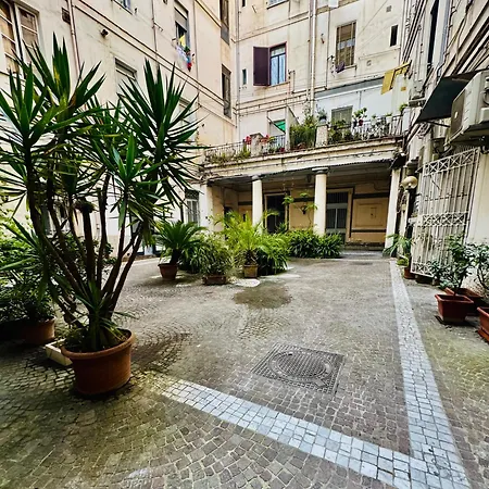 Lovolcano נאפולי